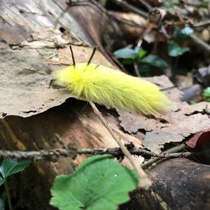 Original Photo Art Print